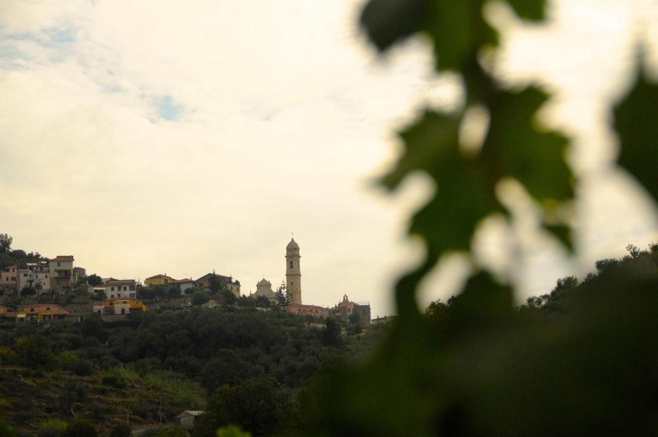 La Casa Del Podere Castellaro  Ngoại thất bức ảnh